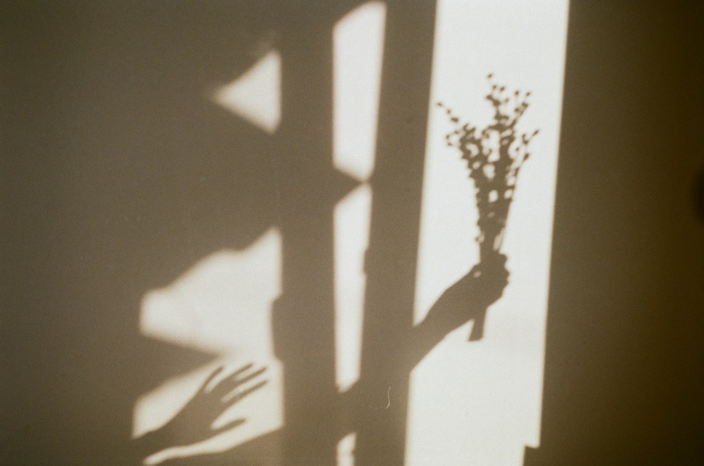Silhouette of a hand raising flower as an offering. Another silhouette of a hand is reaching for the hand from behind. The interplay of light and shadow.